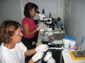 Vanikoro - Journal 24 9 - Laboratoire de conservation